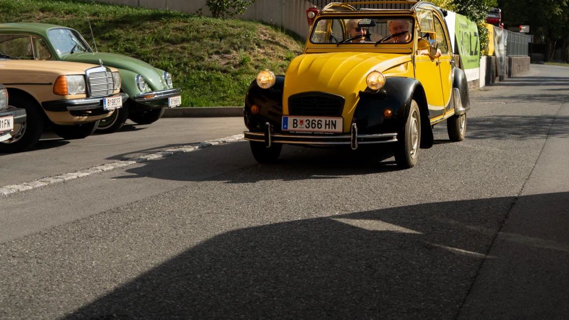 Ente-im-Sonnenlicht