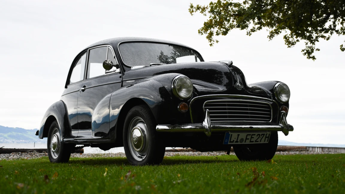 Moggy03