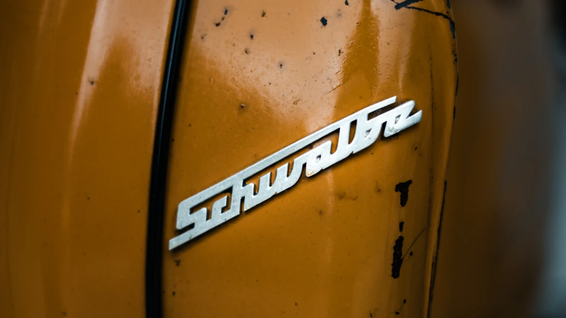 schwalbe-L051