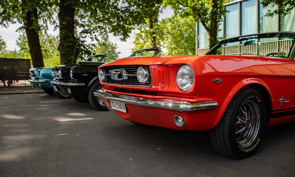 mustang-an-mustang01