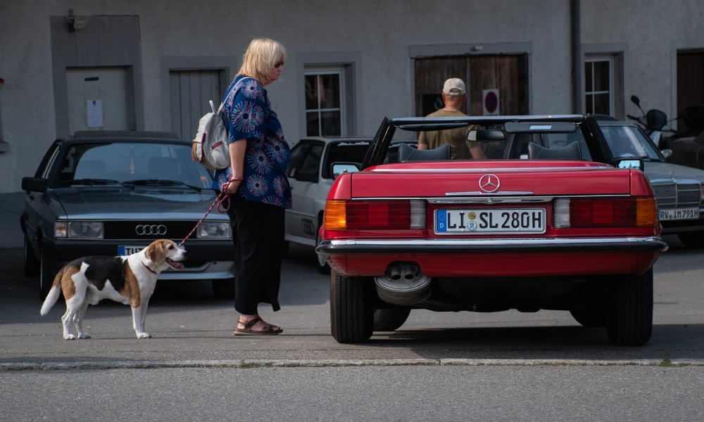 besucherin-mit-hund besucherin-mit-hund