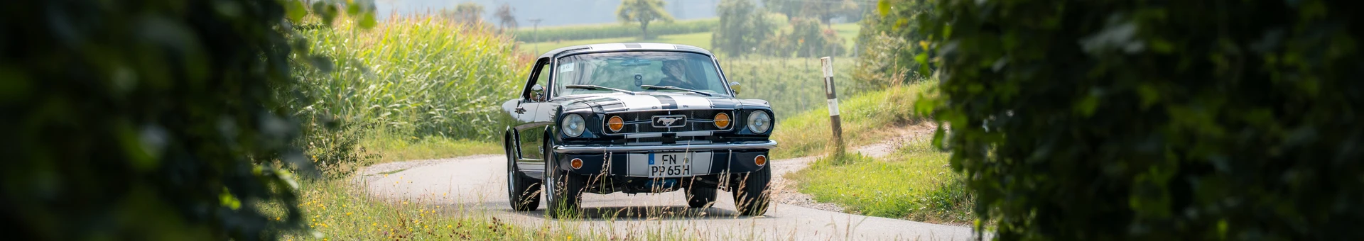 Schwarzes Auto f&auml;hrt auf einer kurvenreichen Landstra&szlig;e am Bodensee.