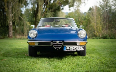 Alfa-Spider-1977-L002