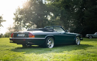 Jaguar-XJS-1990-L005