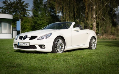 Mercedes-SLK-55-AMG-2005-L009