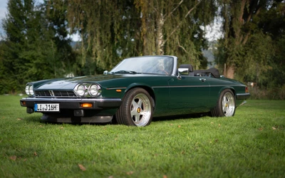 Jaguar-XJS-1990-L009