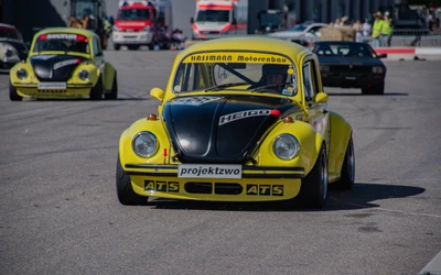 vintage-racing-vw-kaefer