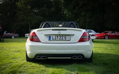 Mercedes-SLK-55-AMG-2005-L006