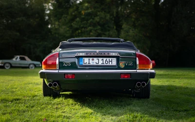 Jaguar-XJS-1990-L006