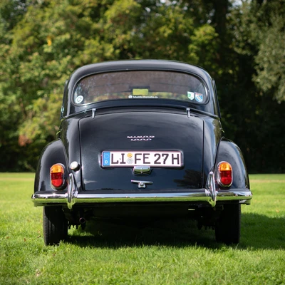 Moggi-L007