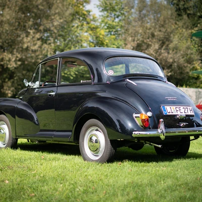 Moggi-L008