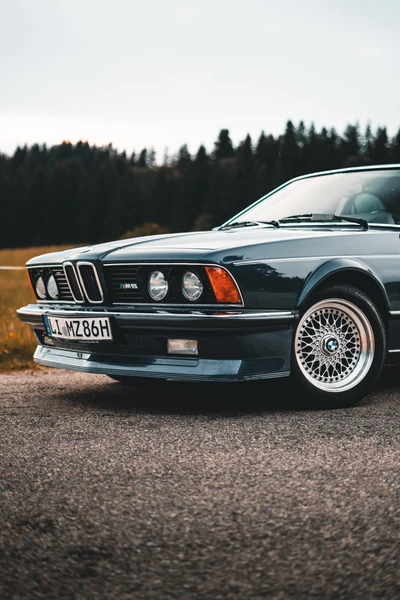 BMW 3er E21 im Vordergrund auf der Lindau-Klassik Rallye