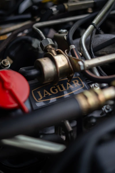 Jaguar-XJS-1990-L019