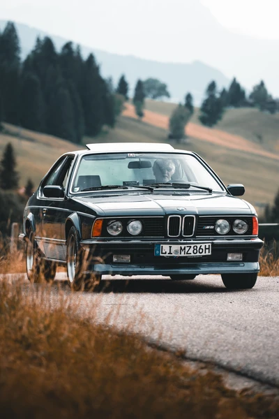 BMW 6er E24 auf der Lindau-Klassik Rallye, auf Landstra&szlig;e in der Natur