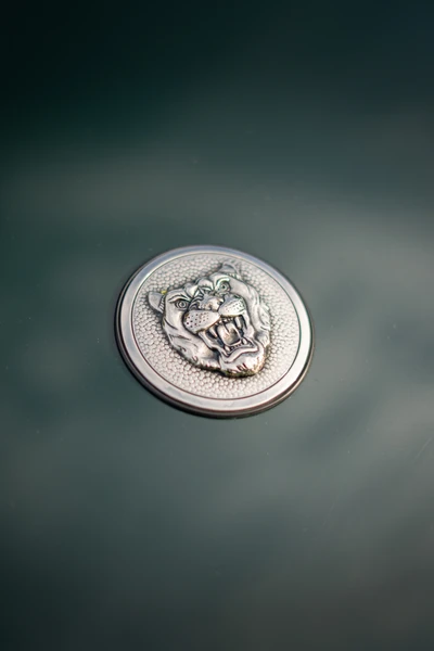 Jaguar-XJS-1990-L010