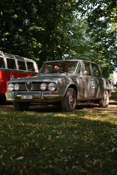 Alfa Romeo 1750 Berlina auf der Lindau Klassik Rallye, im Graspark.