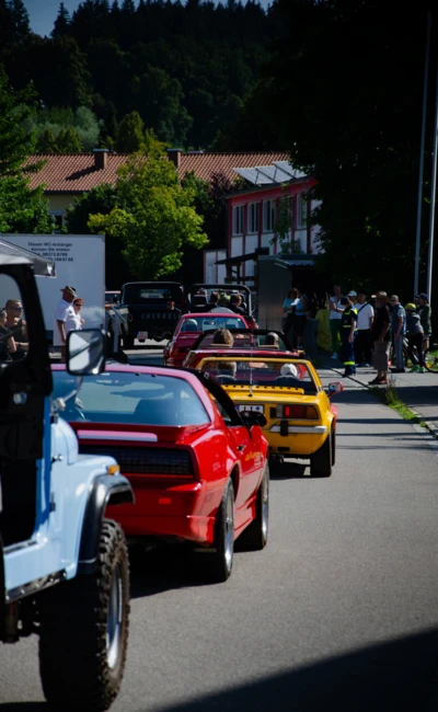 Bunte Fahrzeuge auf dem American-Dream-V8 Treffen in Lindenberg