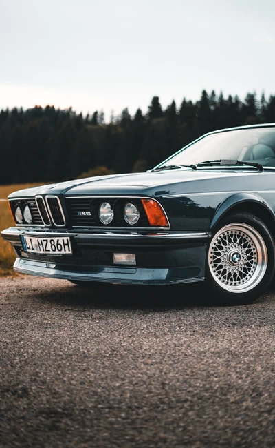 BMW 3er E21 im Vordergrund auf der Lindau-Klassik Rallye