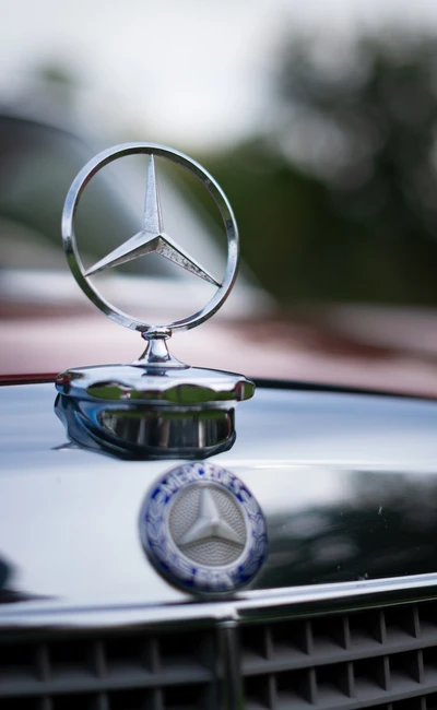 Mercedes-Coup&eacute;-1972-L012