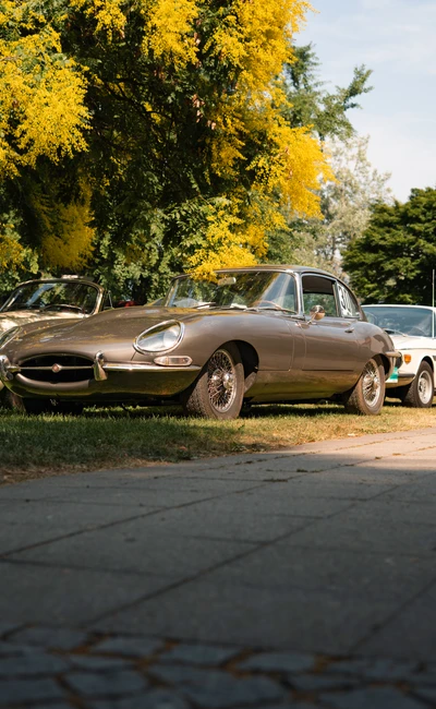 Jaguar E-Type und weitere klassische Fahrzeuge auf der Lindau-Klassik Rallye