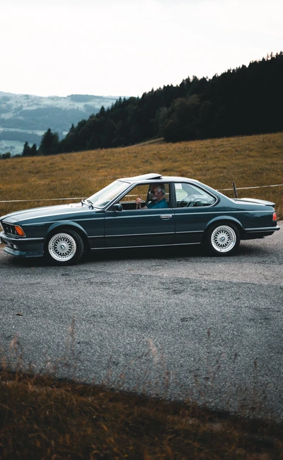 BMW 3er E21 auf der Lindau-Klassik Rallye in l&auml;ndlicher Umgebung