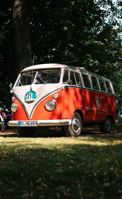 Roter Volkswagen-Bus, Lindau Klassik Rallye, im Park bei Tageslicht