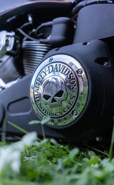 Glemseck101-2026_Bike-Details009