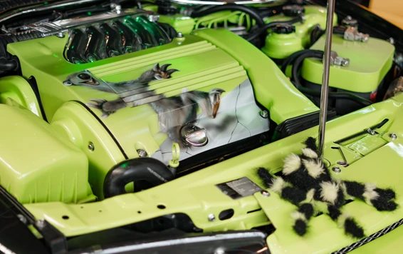 Gr&uuml;nes Fahrzeug mit modifiziertem Motorraum auf der Tuning World Bodensee 2026