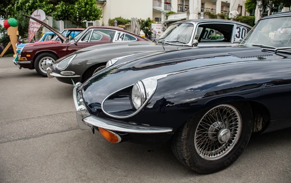 reih-und-glied-jaguar