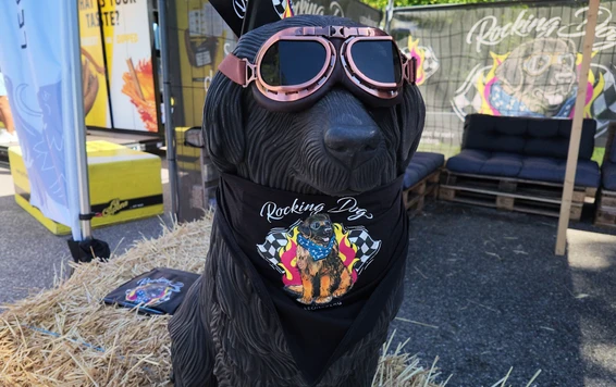 Glemseck101-Rocking-Dog