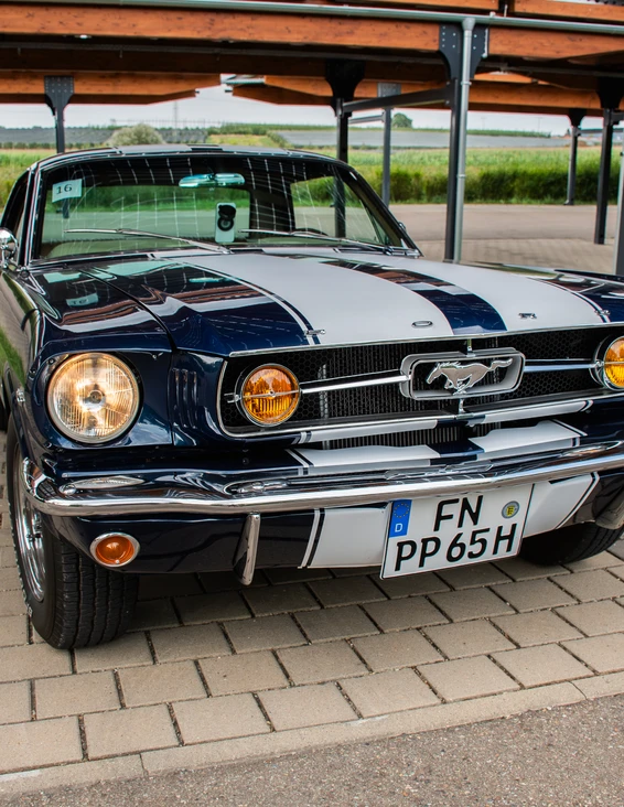 mustang mustang