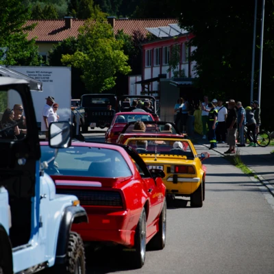Oldtimer-Schlange