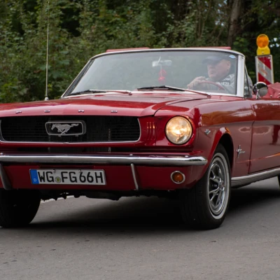 mustang-m003