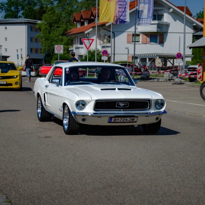 Mustang-Weiß