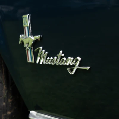 mustang-L-019